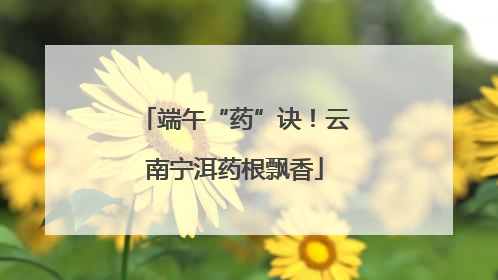 端午“药”诀！云南宁洱药根飘香