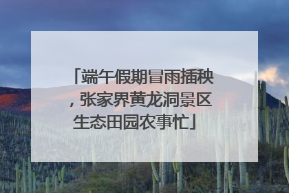 端午假期冒雨插秧，张家界黄龙洞景区生态田园农事忙