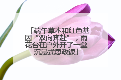 端午草木和红色基因“双向奔赴”，雨花台在户外开了一堂沉浸式思政课