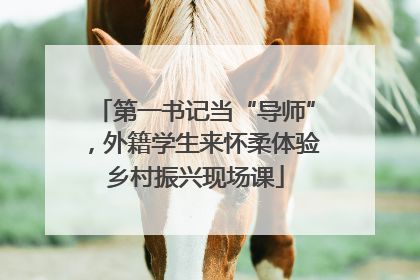 第一书记当“导师”，外籍学生来怀柔体验乡村振兴现场课