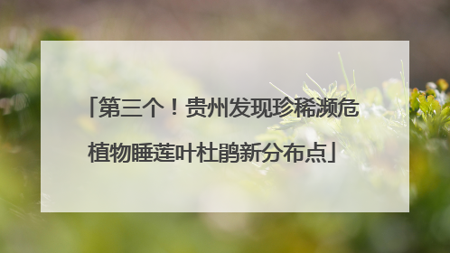 第三个！贵州发现珍稀濒危植物睡莲叶杜鹃新分布点