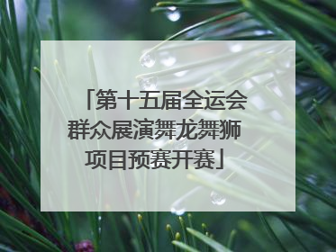 第十五届全运会群众展演舞龙舞狮项目预赛开赛