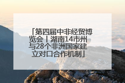 第四届中非经贸博览会丨湖南14市州与28个非洲国家建立对口合作机制