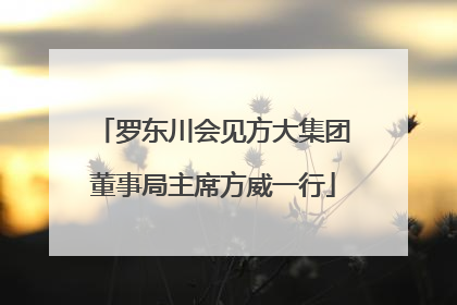 罗东川会见方大集团董事局主席方威一行