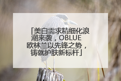 美白需求精细化浪潮来袭，OBLUE欧林兰以先锋之势，铸就护肤新标杆