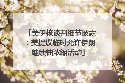 美伊核谈判细节披露：美提议临时允许伊朗继续铀浓缩活动