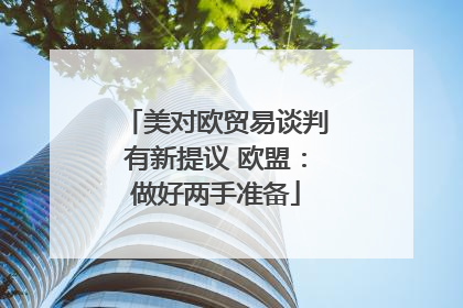 美对欧贸易谈判有新提议 欧盟：做好两手准备