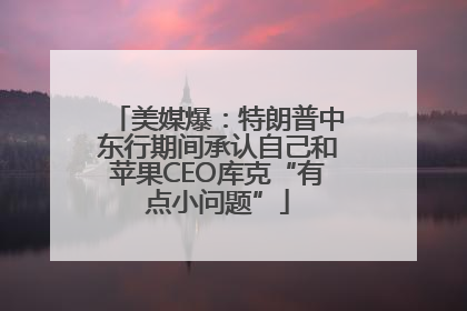 美媒爆：特朗普中东行期间承认自己和苹果CEO库克“有点小问题”