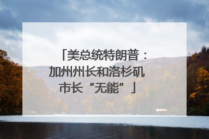 美总统特朗普：加州州长和洛杉矶市长“无能”