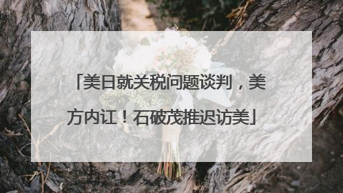 美日就关税问题谈判，美方内讧！石破茂推迟访美