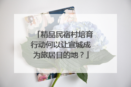 精品民宿村培育行动何以让宣城成为旅居目的地？