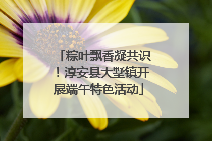粽叶飘香凝共识！淳安县大墅镇开展端午特色活动