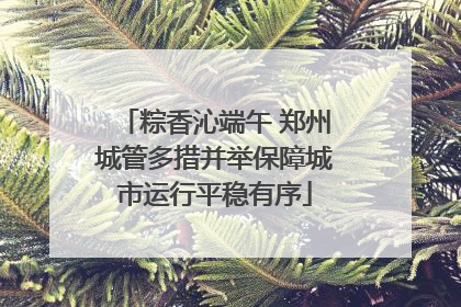 粽香沁端午 郑州城管多措并举保障城市运行平稳有序