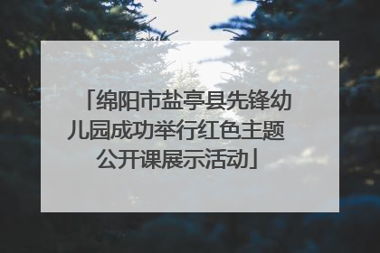 绵阳市盐亭县先锋幼儿园成功举行红色主题公开课展示活动