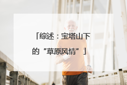 综述：宝塔山下的“草原风情”