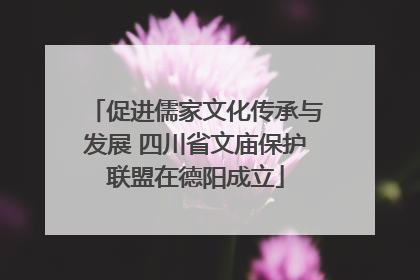 促进儒家文化传承与发展 四川省文庙保护联盟在德阳成立