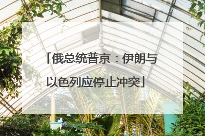 俄总统普京：伊朗与以色列应停止冲突