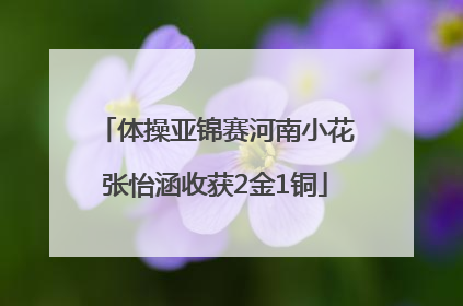 体操亚锦赛河南小花张怡涵收获2金1铜