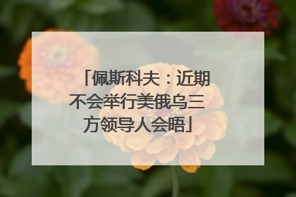 佩斯科夫：近期不会举行美俄乌三方领导人会晤