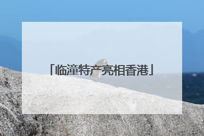 临潼特产亮相香港