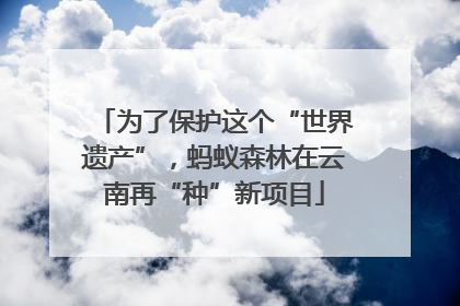 为了保护这个“世界遗产”，蚂蚁森林在云南再“种”新项目