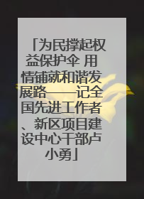 为民撑起权益保护伞 用情铺就和谐发展路——记全国先进工作者、新区项目建设中心干部卢小勇