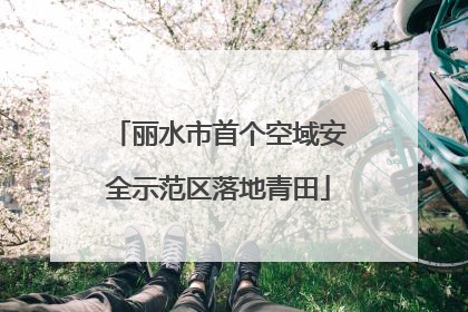 丽水市首个空域安全示范区落地青田