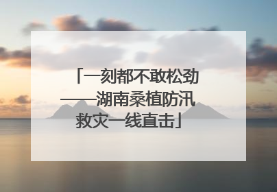 一刻都不敢松劲——湖南桑植防汛救灾一线直击