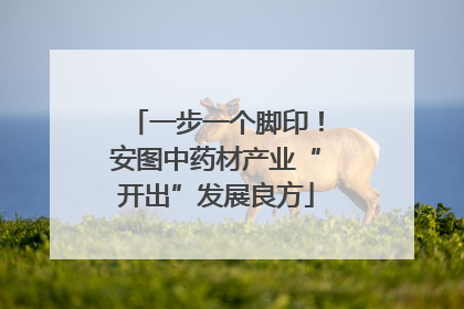 一步一个脚印！安图中药材产业“开出”发展良方