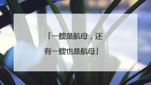 一艘是航母，还有一艘也是航母