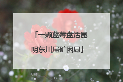 一颗蓝莓盘活昆明东川尾矿困局
