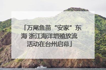 万尾鱼苗“安家”东海 浙江海洋增殖放流活动在台州启幕