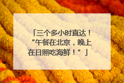 三个多小时直达！“午餐在北京，晚上在日照吃海鲜！”