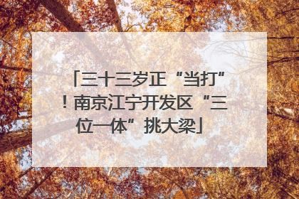 三十三岁正“当打”！南京江宁开发区“三位一体”挑大梁