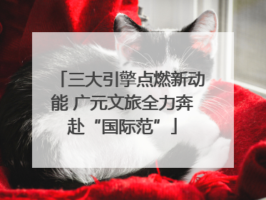 三大引擎点燃新动能 广元文旅全力奔赴“国际范”