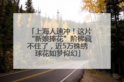 上海人速冲！这片“新娘捧花”阶梯藏不住了，近5万株绣球花如梦似幻