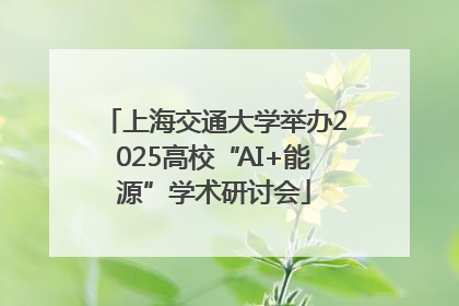 上海交通大学举办2025高校“AI+能源”学术研讨会