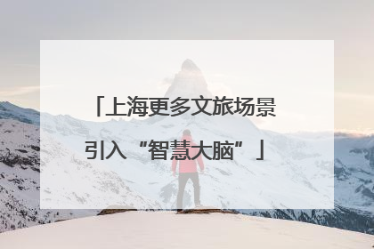 上海更多文旅场景引入“智慧大脑”