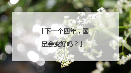 下一个四年，国足会变好吗？