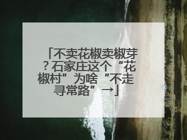 不卖花椒卖椒芽？石家庄这个“花椒村”为啥“不走寻常路”→
