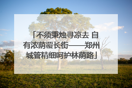 不须秉烛寻凉去 自有浓荫覆长街——郑州城管精细呵护林荫路