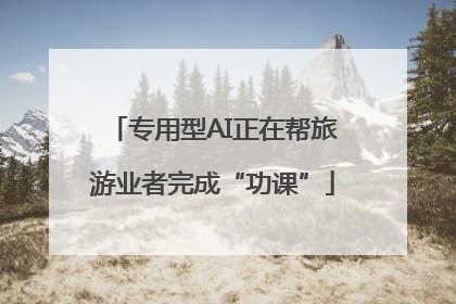 专用型AI正在帮旅游业者完成“功课”