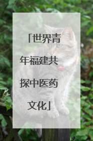 世界青年福建共探中医药文化