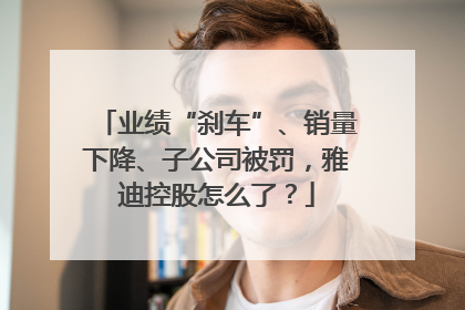 业绩“刹车”、销量下降、子公司被罚，雅迪控股怎么了？