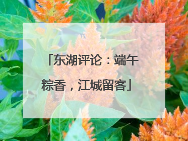 东湖评论：端午粽香，江城留客