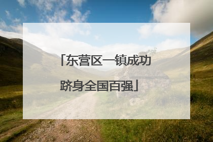 东营区一镇成功跻身全国百强