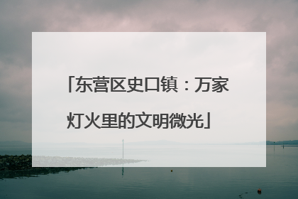 东营区史口镇：万家灯火里的文明微光