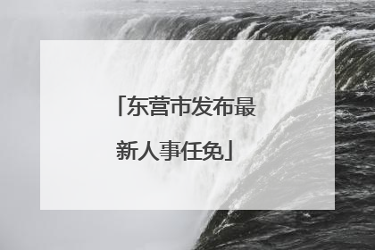东营市发布最新人事任免