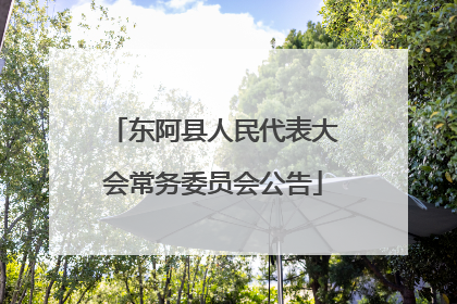 东阿县人民代表大会常务委员会公告
