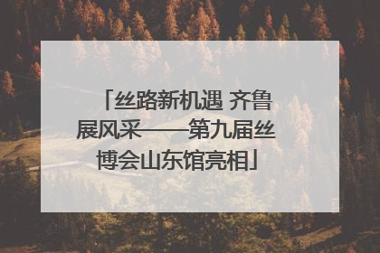丝路新机遇 齐鲁展风采——第九届丝博会山东馆亮相